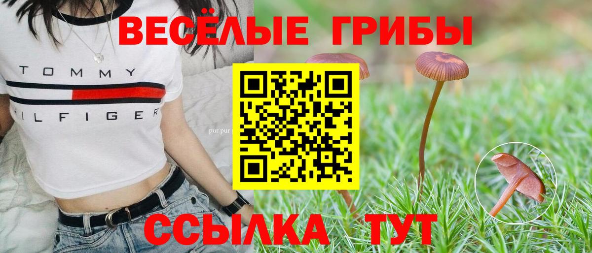 Псилоцибиновые грибы мухоморы Кизляр