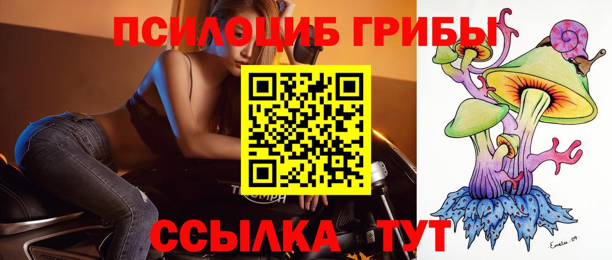 Кизляр  Псилоцибиновые грибы Psilocybine cubensis  где купить   Вход с VPN 